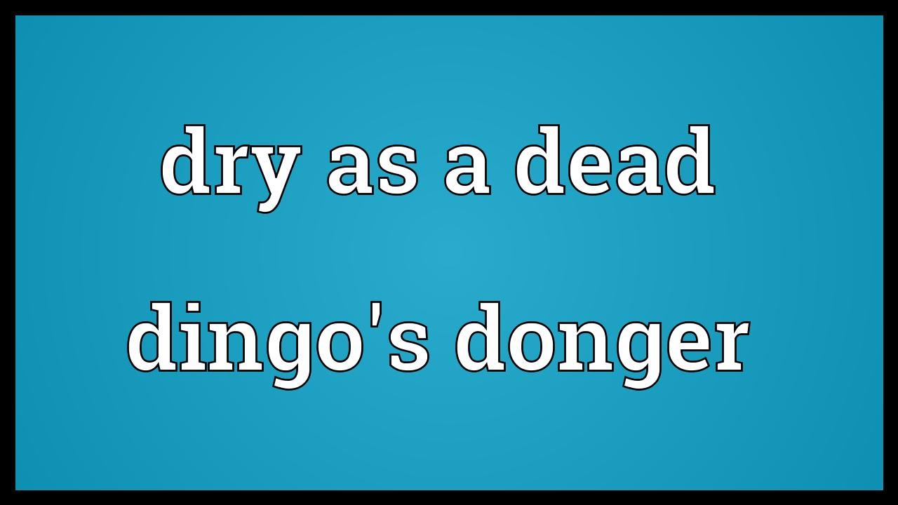 As dry as a. Donger. as dry as a bone идиома.