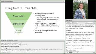 2017 02 Trees and Stormwater Runoff Aarin Teague