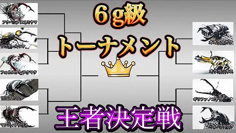 ６g級 クワガタトーナメントバトル たっカブ杯 