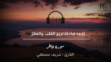 تلاوه هادئه تريح القلب والعقل ❤️🎧 [ من سورة فاطر | القارئ: شريف مصطفي»