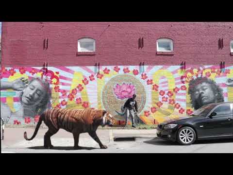 Wall Mural Motion in NoDa Charlotte