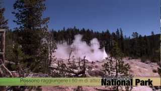 Geyser Yellowstone National Park Hd