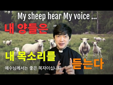 영상썸네일
