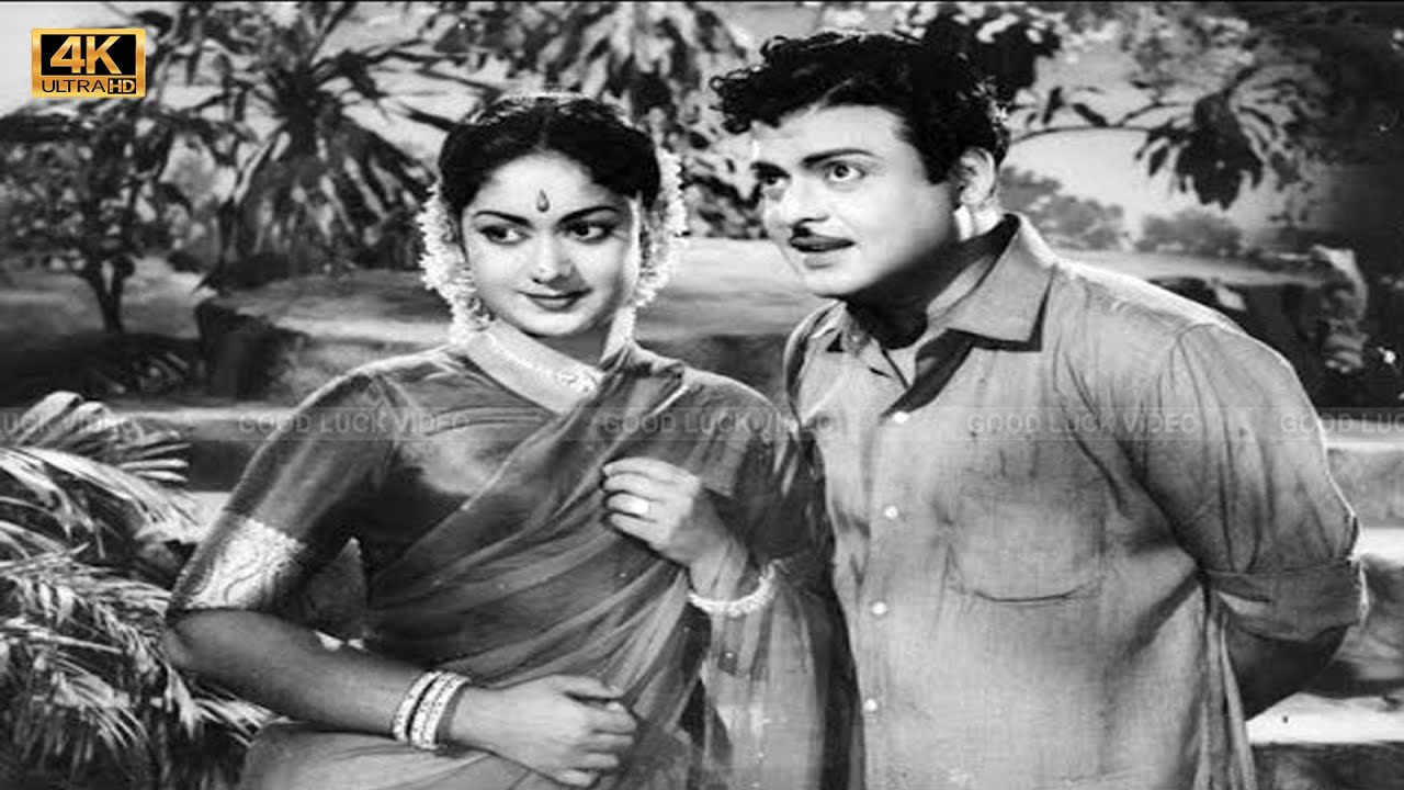 YAAR PAIYAN MOVIE SONGS       Gemini ganesan Savithri songs 