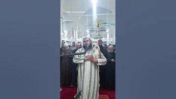 Кошка прыгнула на имама во время молитвы в алжирской мечети