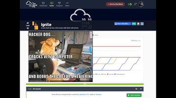 Ignite TryHackMe