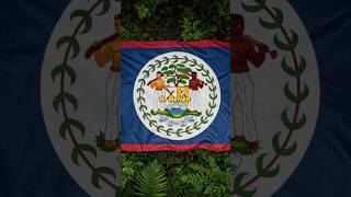 top 10 most unusual national flags in the world 🌎🌍 #short @Topunique8