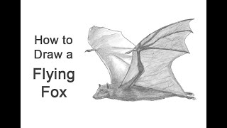 How to Draw a Bat (Flying Fox)