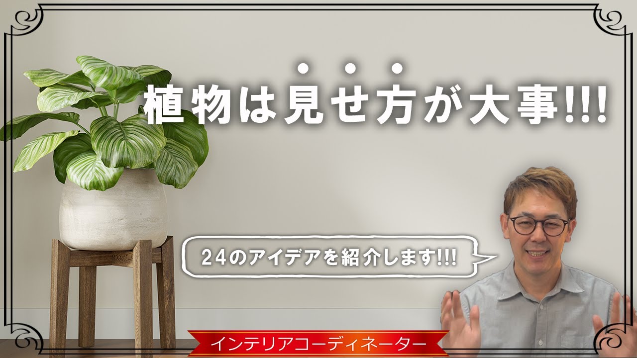 【観葉植物】インテリアを気にするなら飾り方にも気を配って！初心者におすすめの植物3選も紹介！