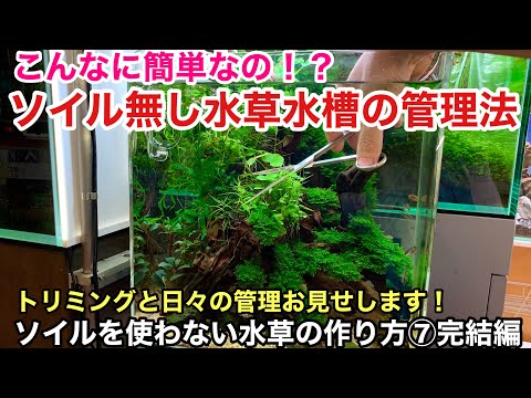 こんなに簡単 水草水槽の管理方法 ソイルを使わない３０ｃｍキューブ水槽の作り方 トリミングと液肥添加 Adaネイチャーアクアリウム小型水槽立ち上げ 流木レイアウト ウィローモス モス活着方法 化粧砂 Nipponxanh