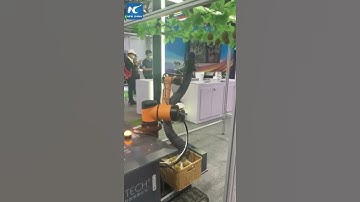 #K2 TECH@QOGORI #kiwi picking robot #world robot conference interview