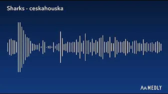 Sharks - ceskahouska Sharks - ceskahouska