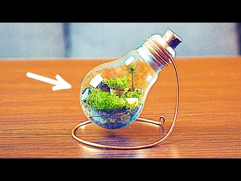 HOW TO MAKE AN ETERNAL TERRARIUM