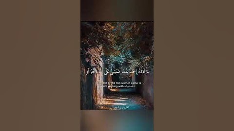 القارئ ريان المحيسني سورة القصص