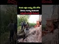 రెండు లక్షల అప్పు చేసి బోరు వేసాము గంగమ్మ కరునించింది #Viral #Bore #Water #Status #shortvideos