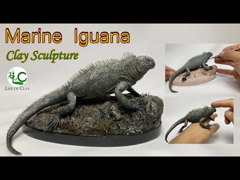 Sculpting Marine Iguana ( Amblyrhynchus cristatus ) Polymer clay _ Life of Clay