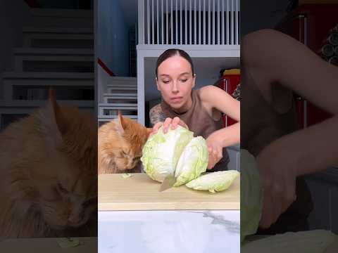 борщ сибирский с фрикадельками и фасолью #асмр #рецепты #готовимдома #еда #готовка