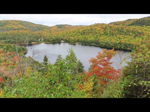 Vidéo: Parc et sentiers de South Mountain