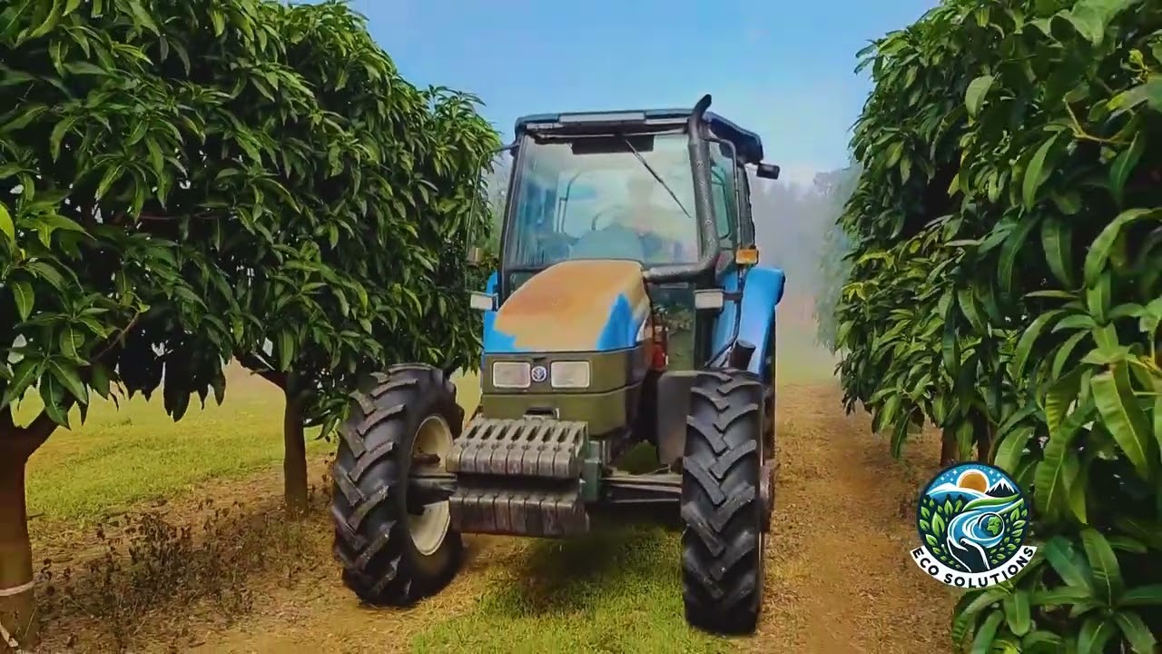 МАСТЕР МАНГО В МУТОКО