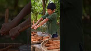 中华美食-晒桂皮(Chinese delicious-Cinnamon)