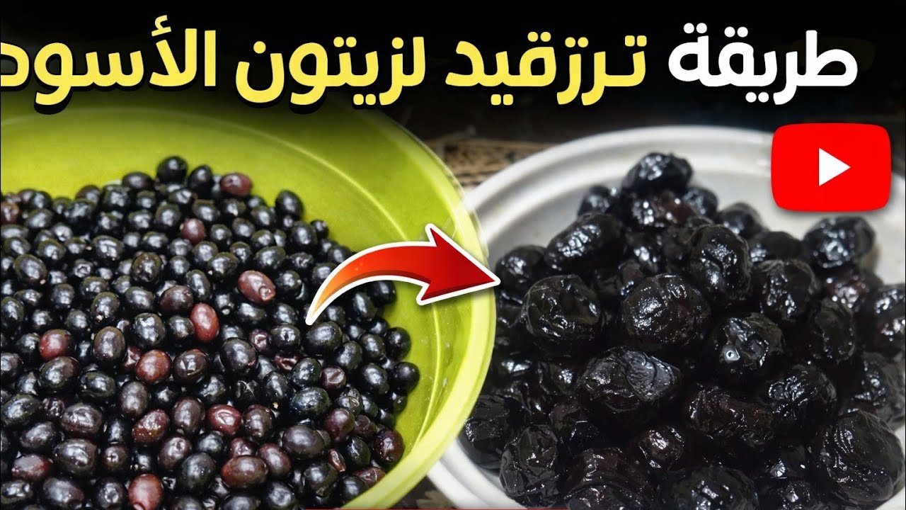 ترقيد الزيتون لمدة 3 اسابيع فقط هذه هي النتيجة 💪🏼👏🏼✅❤️‍🔥