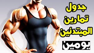 برنامج كامل للمبتدئين فى كمال الأجسام يومين الجزء العلوى والسفلى Upper/Lower