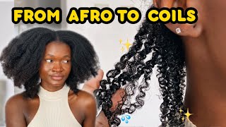 I SHOULD HAVE TRIED THIS SOONER!! | coil definition on my 4b hair | trying new coiling technique screenshot 4