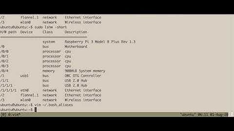 Ubuntu on Raspberry Pi 3B+,  starting vim & emacs