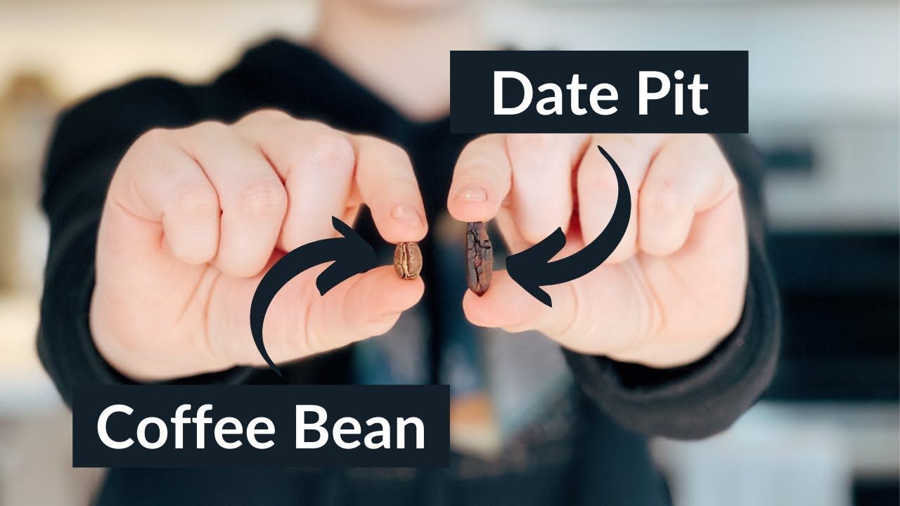 Turning Date Pits Into Coffee (Viral Date Seed Coffee) 