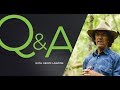 Q&A: Inhabiting Where Forest is Now Encroaching