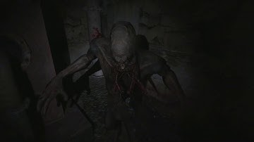 S.T.A.L.K.E.R. Lost Alpha DC wtih mods installed