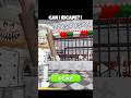 PAPAS PIZZERIA PRISON RUN!!