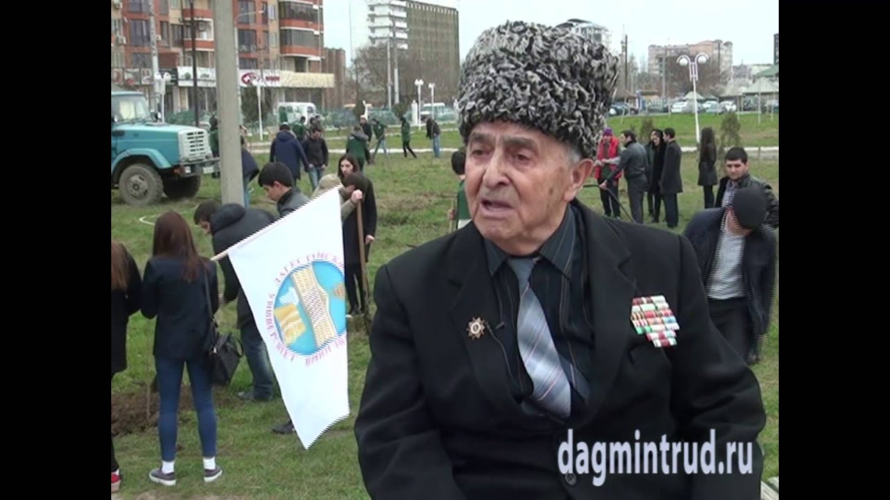 лес победы раменское Лес Победы