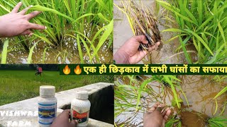 Paddy Herbicide part -2