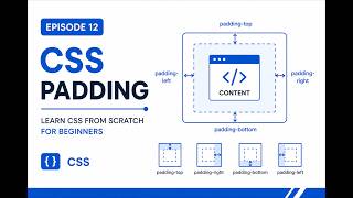 CSS Padding | Learn CSS Padding from Scratch for Beginners – Episode 12