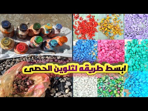 فيديو: أميرات الضفادع لتزيين الحدائق