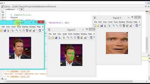 ,,,,,,MATLAB code of face detection using face landmark localization