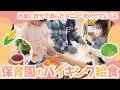 【保育園のバイキング給食】お皿に自分で選んだメニューをのせていくよ。先生と同じように上手にできるかな?
