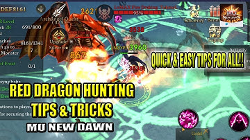 Tips & Tricks for Red Dragon Hunting - MU New Dawn