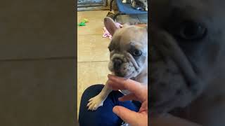 8-14-21 Charlotte X Norman Babies