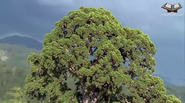 سورة طه بصوت القارئ عبدالله بن يوسف الأحمد Surah Taha voice reader  Abdullah bin Yusuf Al - Ahmad