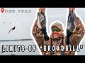 DIVER DUCK HUNTING | Limits of Long Island Bluebills (Broadbill)