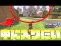 ピーチ城の中に入れるのか?【マリオカート8DX / マリオカート64】