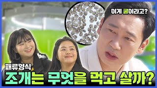 조개는 무엇을 먹고 살까