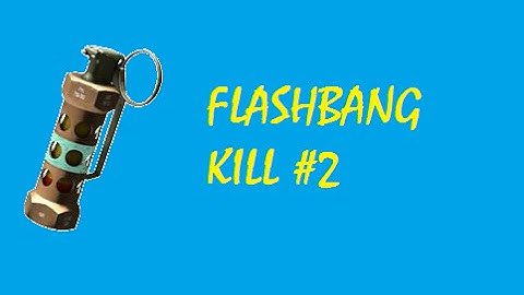 CS:GO - FlashBang Kill #2