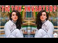 فهم تأثير مرشح Tik Tok الانعكاسي