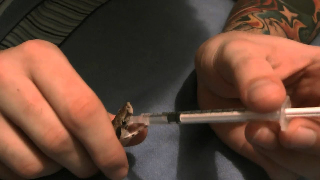 drinking problem Kelfezond - Dopey Medicine Time