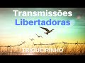 Trigueirinho | Transmissões Libertadoras