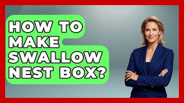 How To Make Swallow Nest Box? - Bird Watching Diaries