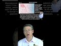 Кровяное давление \ Вячеслав Дубынин #сосуды #анатомия #биология #shorts